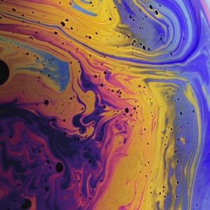 Meet your Posher, Sean